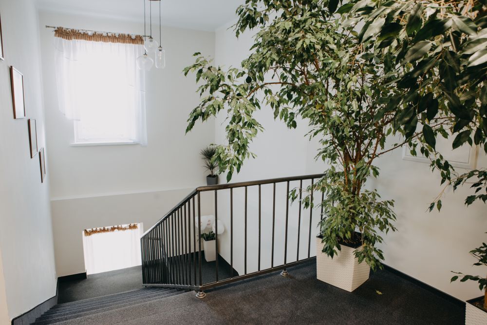 Sanatorium „Świt” w Solcu-Zdroju