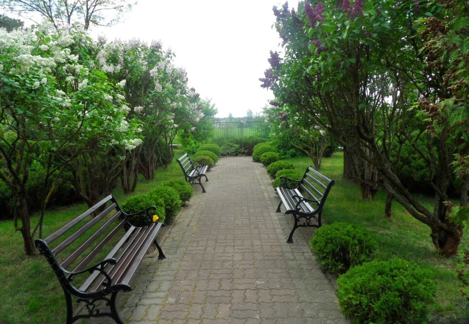 Domu Pomocy Społecznej Zgromadzenia Sióstr Albertynek w Jabłonnie Lackiej