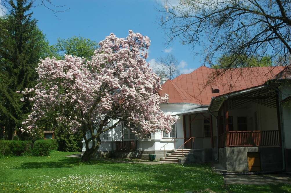 Willa „Irena” w Solcu-Zdroju