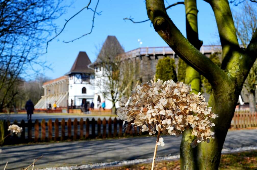 Solanki Medical SPA w Inowrocławiu