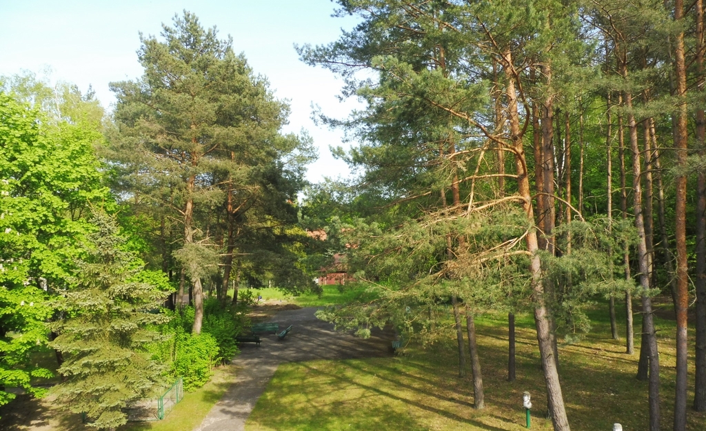 Dom Pomocy Społecznej w Chodzieży