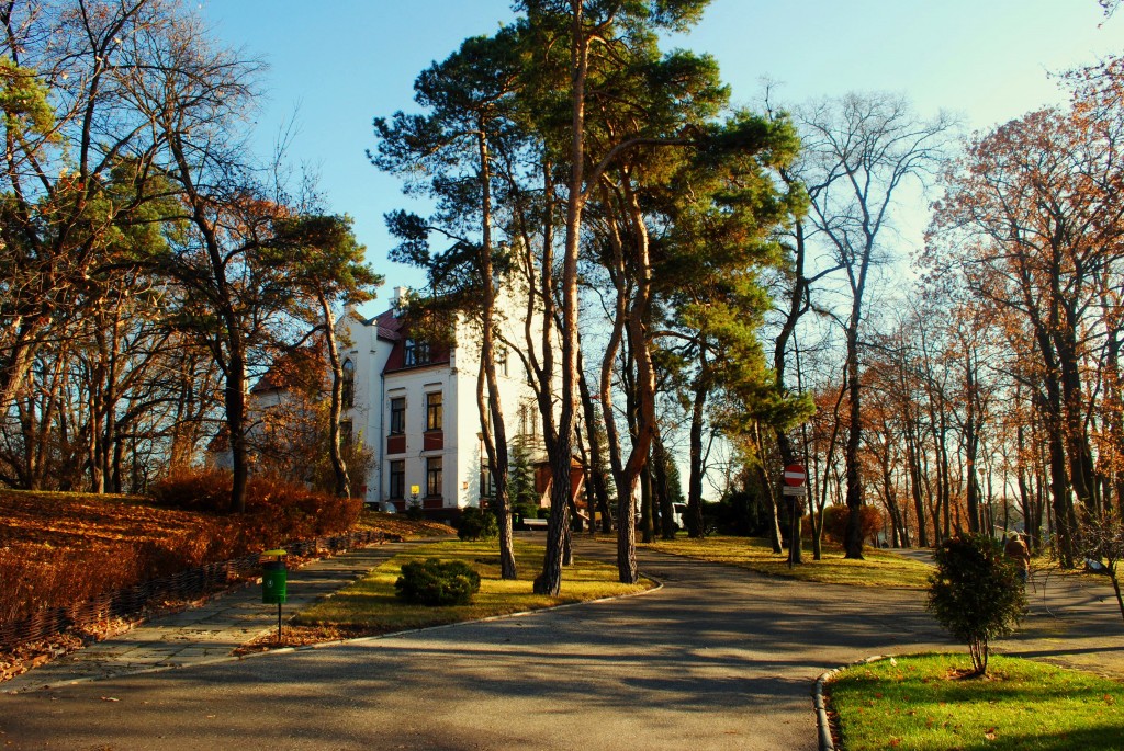 Dom Pomocy Społecznej w Zielonce