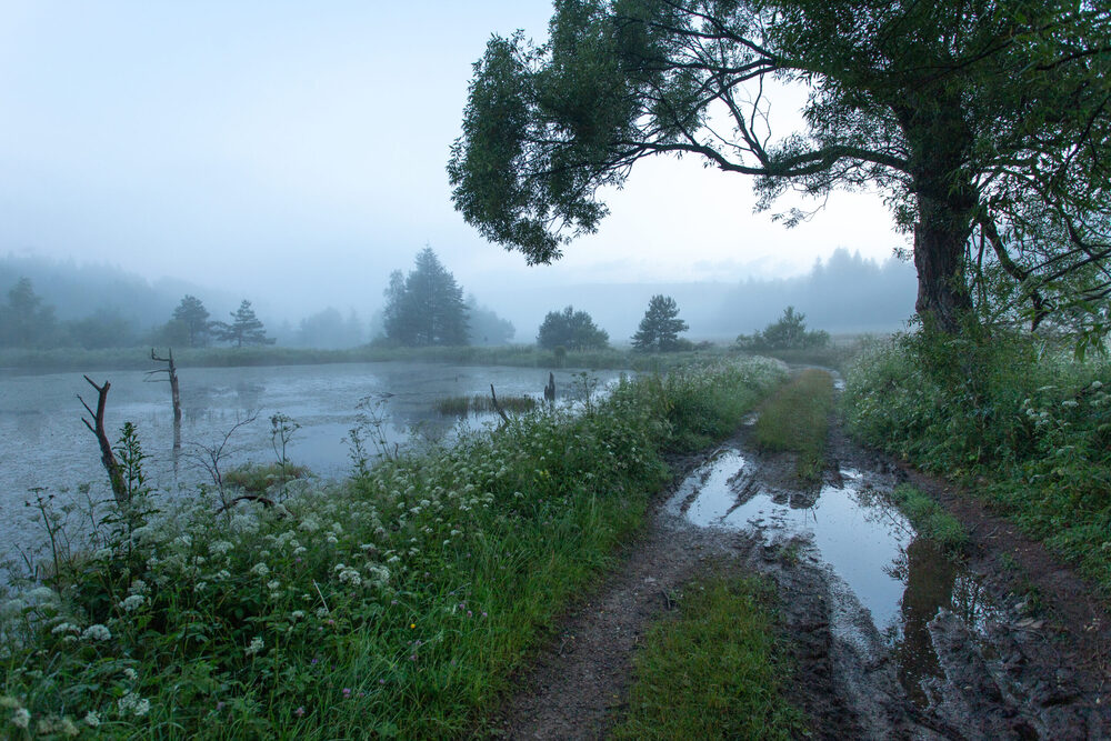 Apartamenty „Jolanta LUX” w Rymanie-Zdroju