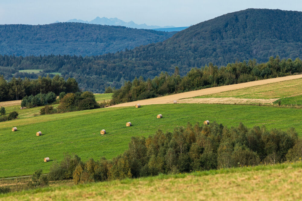 Apartamenty „Jolanta LUX” w Rymanie-Zdroju