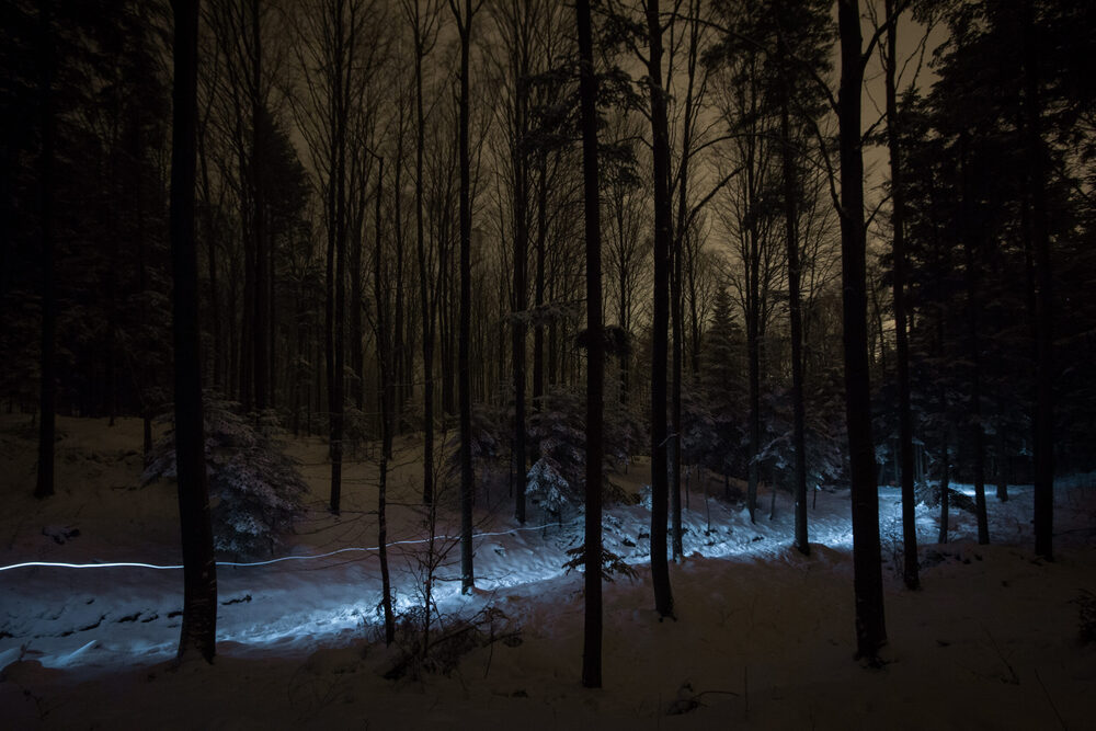 Apartamenty „Świtezianka” w Rymanowie-Zdroju