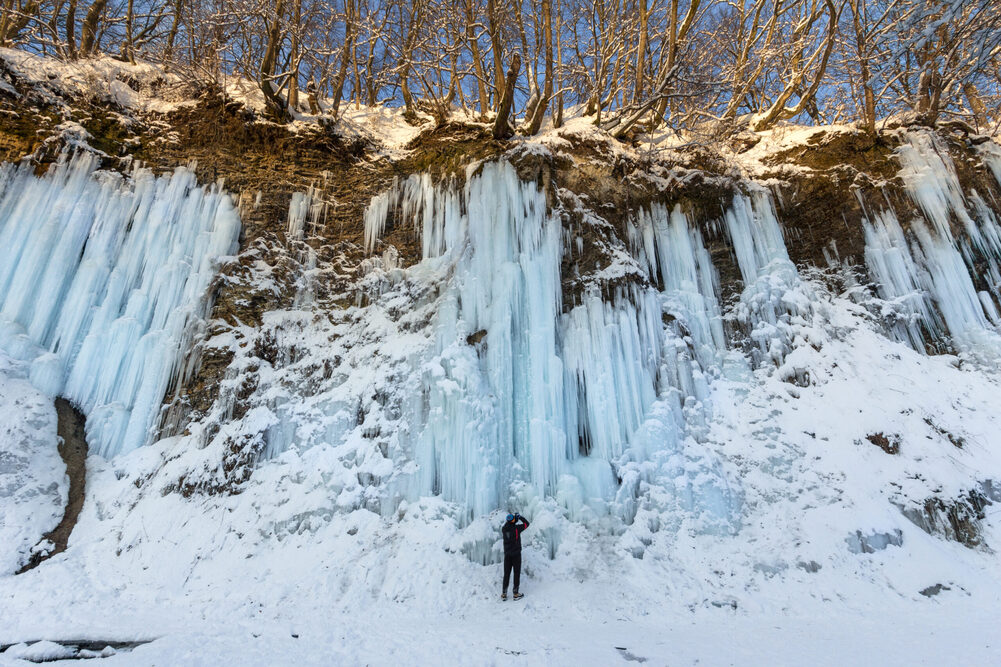 Apartamenty „Świtezianka” w Rymanowie-Zdroju