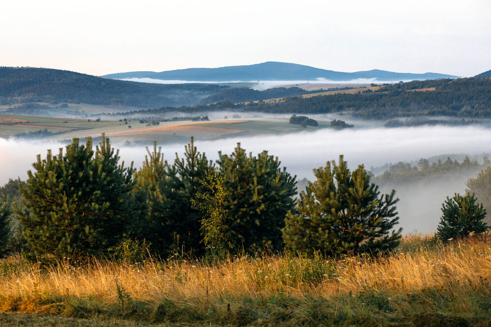 Apartamenty „Jolanta LUX” w Rymanie-Zdroju