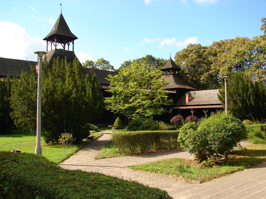 Dom Pomocy Społecznej im. Abp. A. J. Nowowiejskiego w Brwilnie