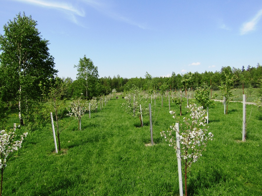 Dom Opieki „Nowela” w Gałkach