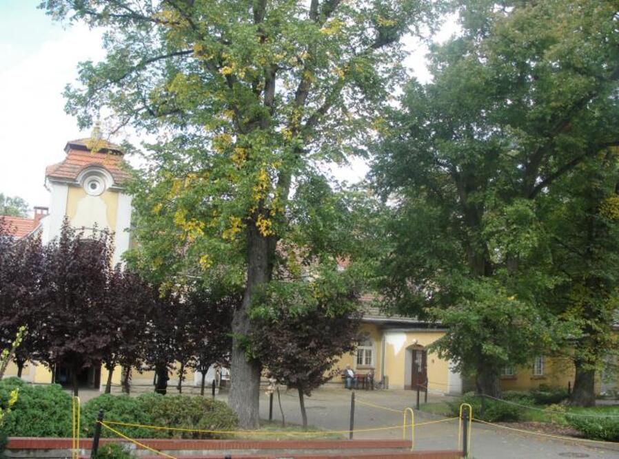 Dom Pomocy Społecznej w Jarogniewicach