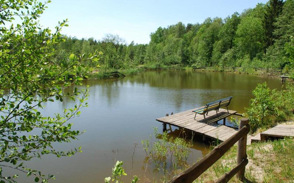 Nieopodal Dom Seniora „Atos” w Holonkach znajdują się dwa niewielkie stawy