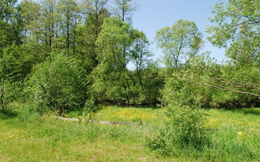 Dom Seniora „Atos” w Holonkach