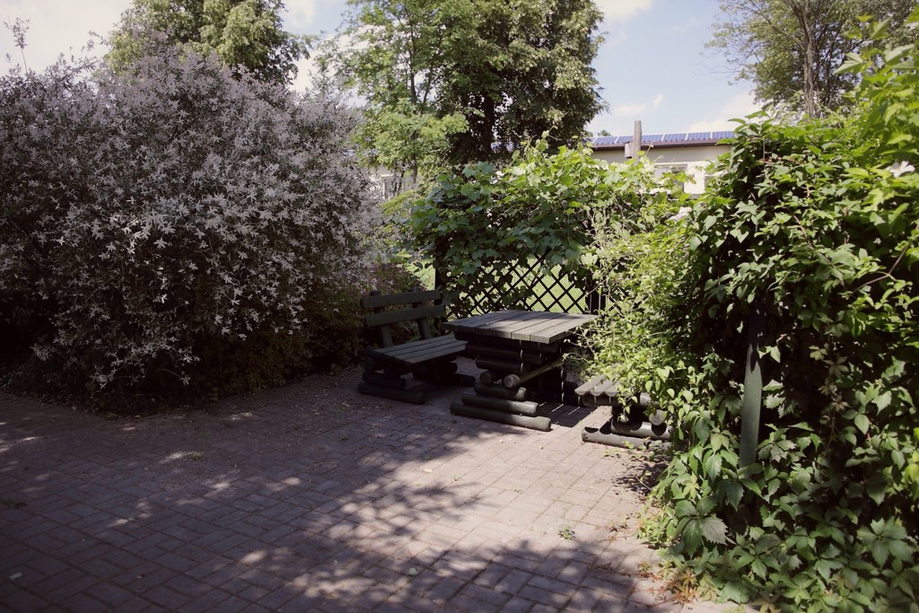 Przed budynkiem Domu Pomocy Społecznej w Wichulcu znajduje się ogród 