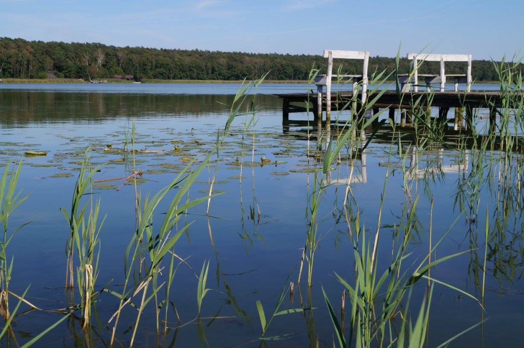 Dom nad Jeziorem w Budach Lucieńskich leży nad Jeziorem Lucieńskim