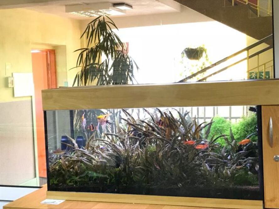 Dom Pomocy Społecznej „Samarytanin” we Wrocławiu