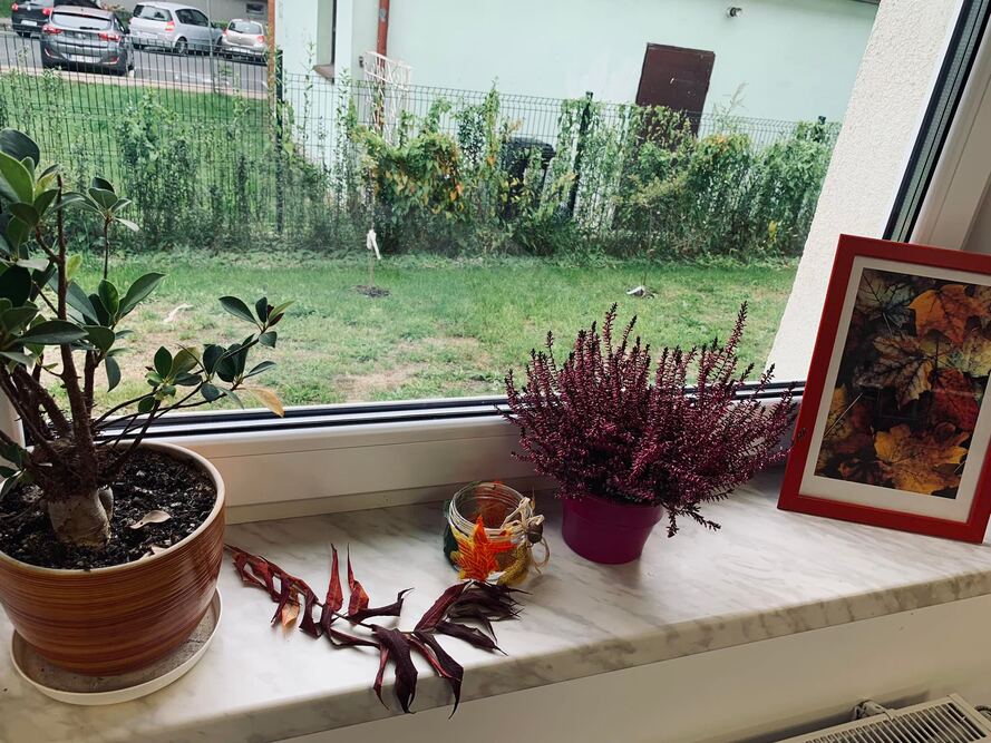 Dom Pomocy Społecznej „Ostoja” w Lubinie