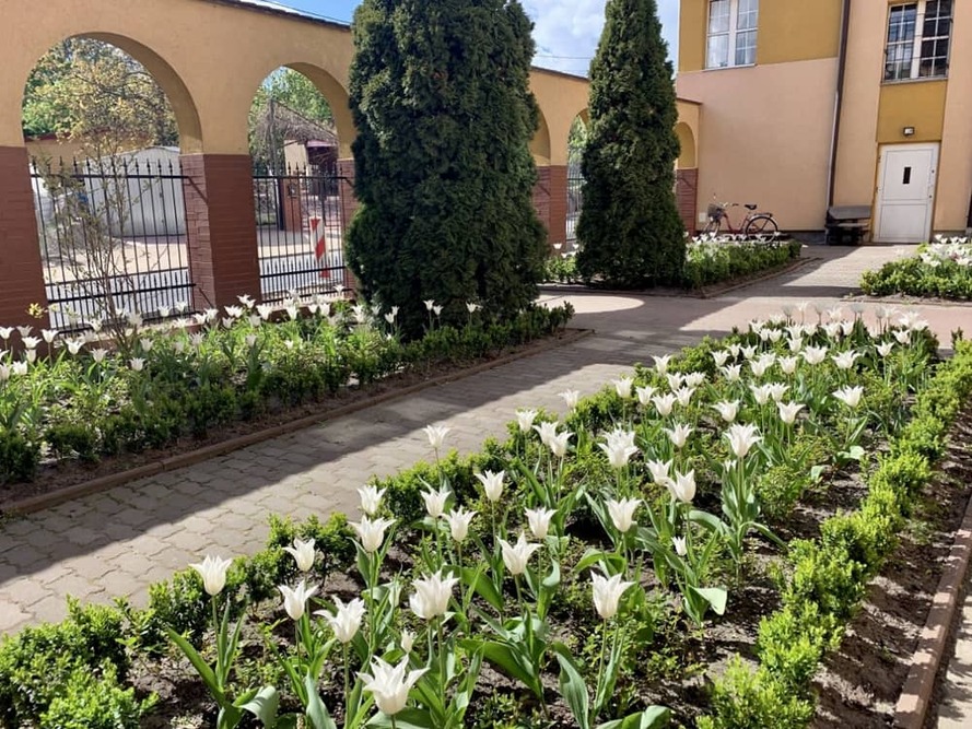 Teren Domu Pomocy Społecznej w Malborku  jest ogrodzony, co pozytywnie wpływa na bezpieczeństwo jego mieszkańców