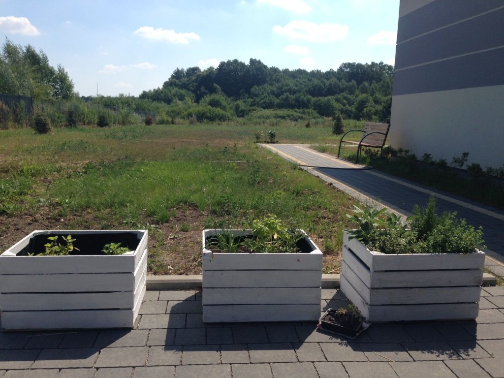 Dom Aktywnego Seniora „Biały Bez" w Ruścu