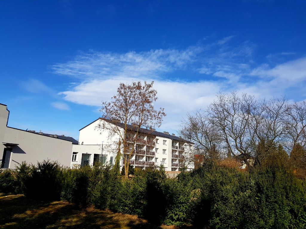 Przed budynkiem Domu Pomocy Społecznej w Żyrzynie  znajduje się ogród, w którym seniorzy chętnie spędzają czas