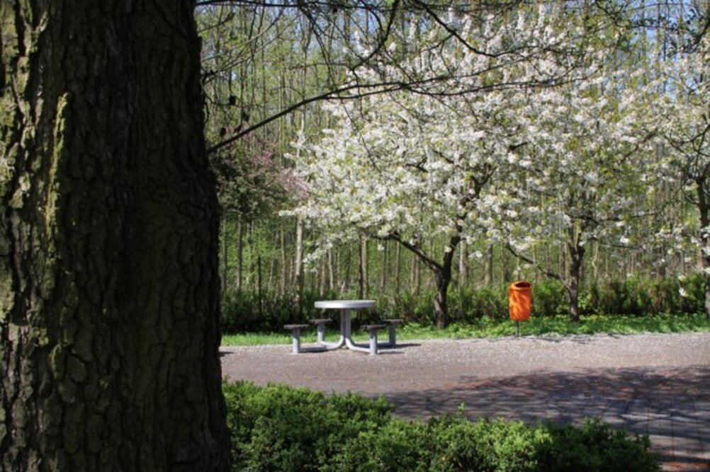 Dom Pomocy Społecznej przy Rędzińskiej we Wrocławiu