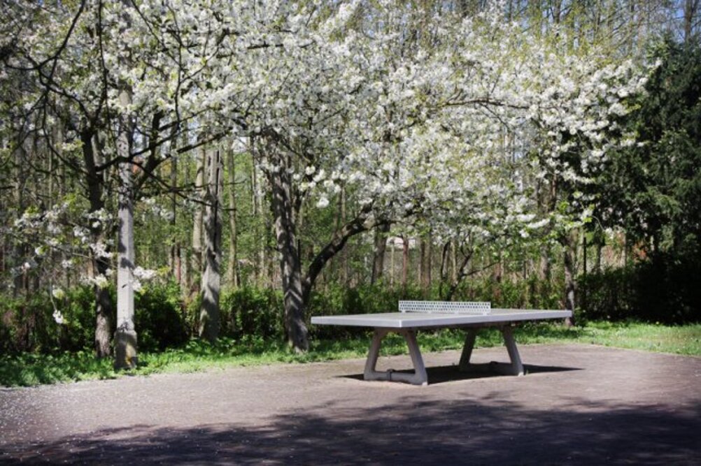 Dom Pomocy Społecznej przy Rędzińskiej we Wrocławiu