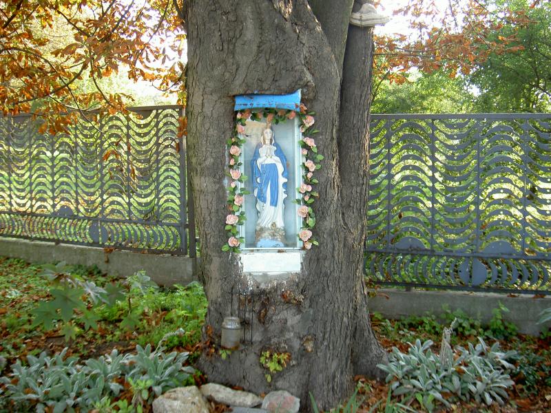 Dom Pomocy Społecznej w Słupi