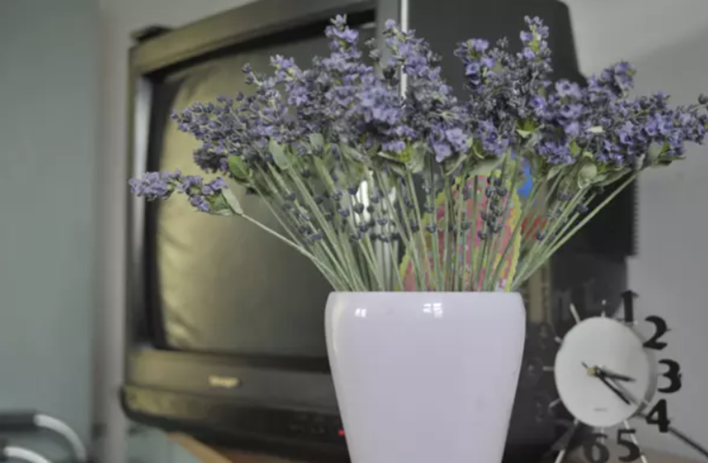 Dom Pomocy Społecznej „Lili” w Golubiach