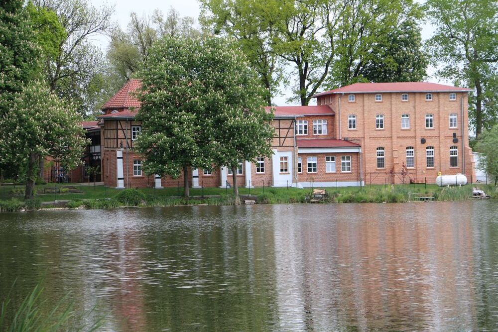 Z okien Domu Pomocy Społecznej w Trzcińsku–Zdroju roztacza się malowniczy widok na jezioro