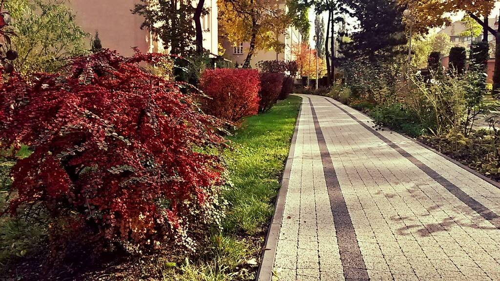 Alejki przez Domem Pomocy Społecznej nr 3 w Zabrzu są wybrukowane, dzięki czemu bez problemu mogą poruszać się po nich osoby na wózkach inwalidzkich