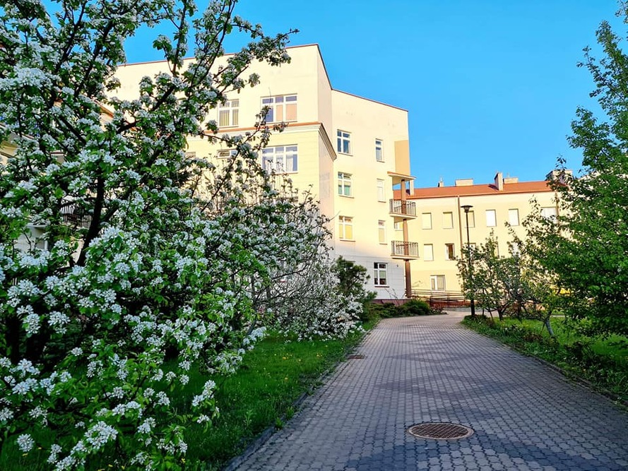 Teren wokół Domu Pomocy Społecznej w Białymstoku  został dostosowany do potrzeb osób niepełnosprawnych