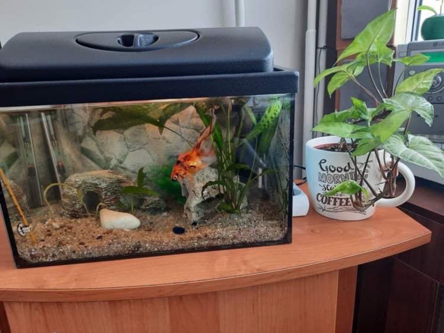 Dom Pomocy Społecznej im. Jana Pawła II w Kielcach