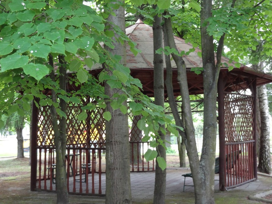 Dom Pomocy Społecznej im. Józefa Żurawia w Brzózie Królewskiej