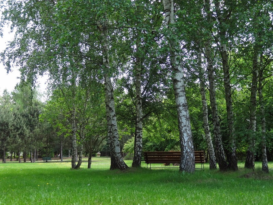 Dom Pomocy Społecznej im. Józefa Żurawia w Brzózie Królewskiej