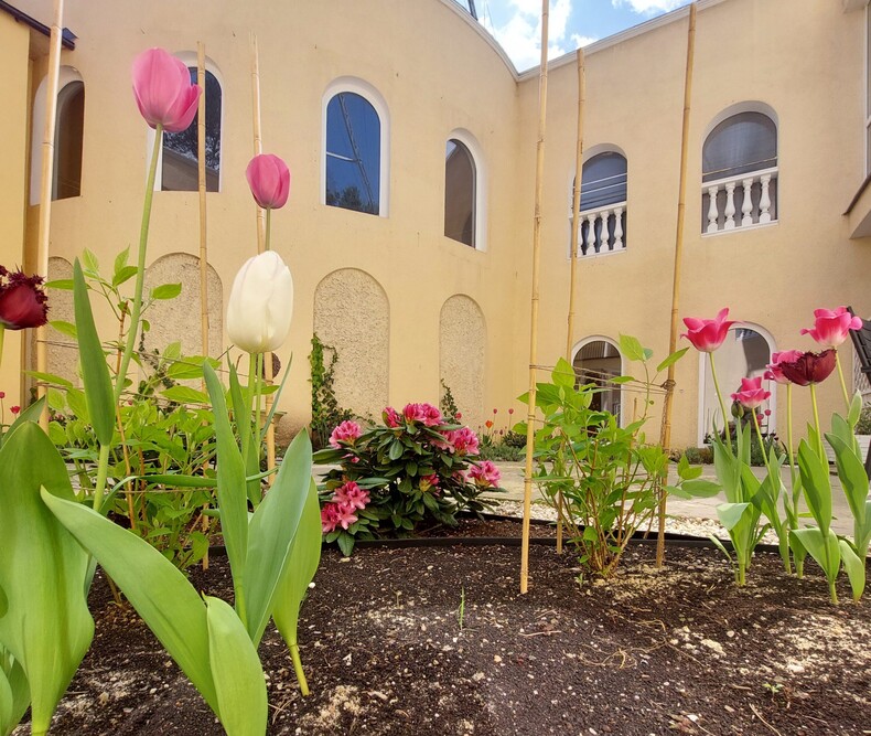 Rezydencja Seniora w Puszczykowie