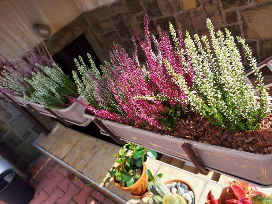 Dom Pomocy Społecznej „Hospicjum” w Bielsku-Białej