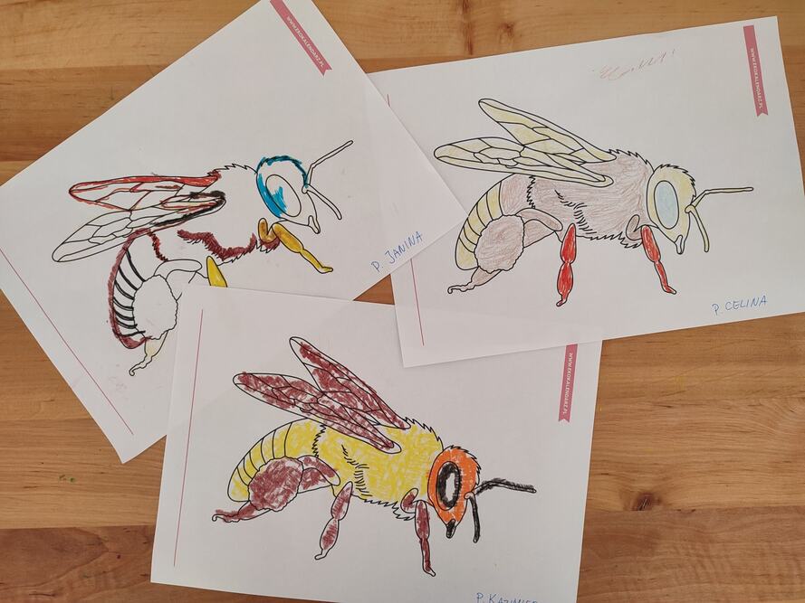 Dom Seniora w Chwałowicach