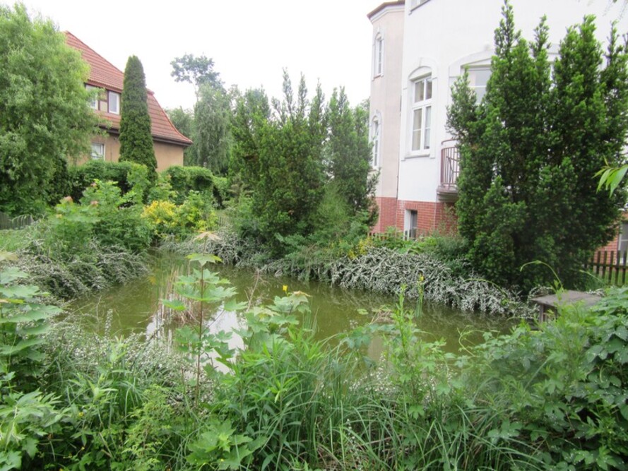 Dom Pomocy Społecznej im. Małżonków Terakowskich w Gnieźnie