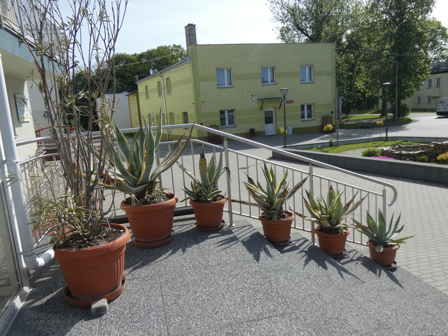 Dom Pomocy Społecznej w Browinie