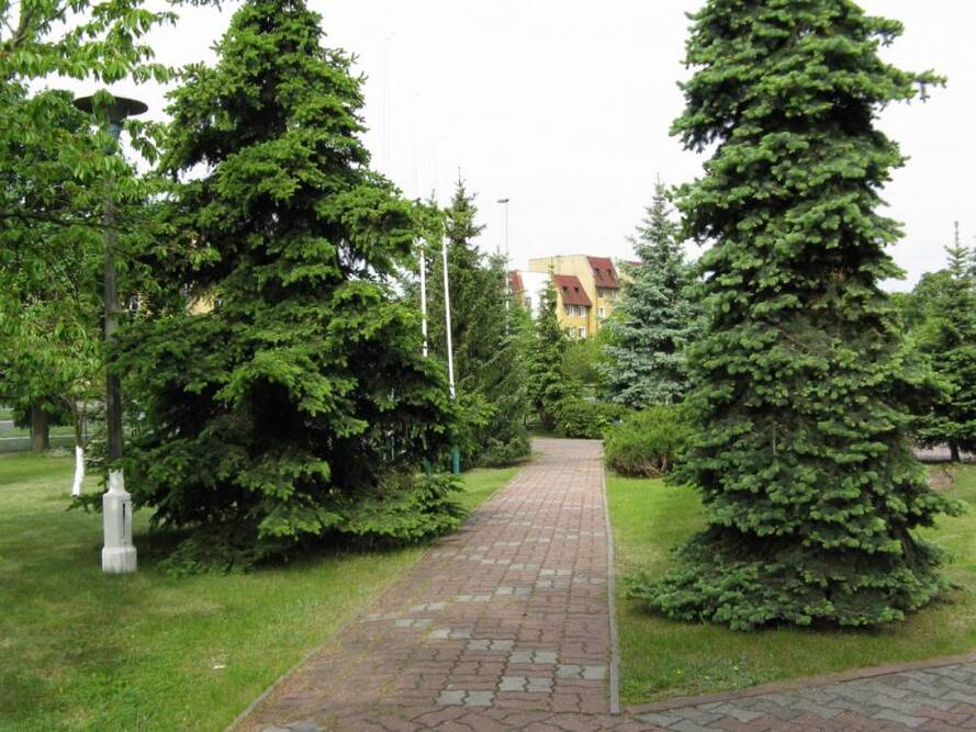 Dom Pomocy Społecznej im. dr Leona Szumana w Toruniu