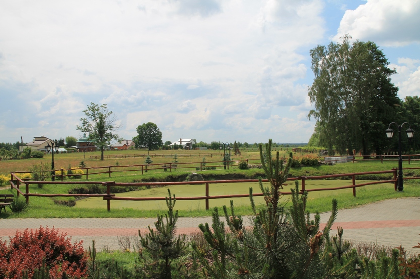 Dom Pomocy Społecznej im. Ks. Wojciecha Borowiusza w Cmolesie