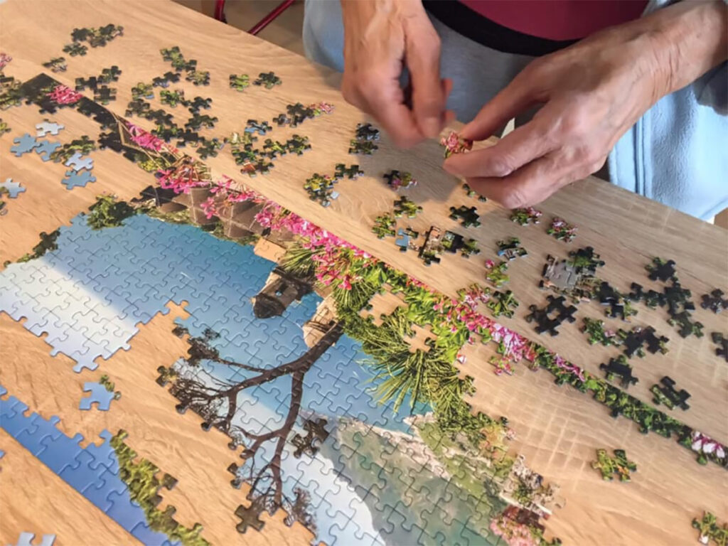 Dom Seniora „Aloes” w Łapalicach