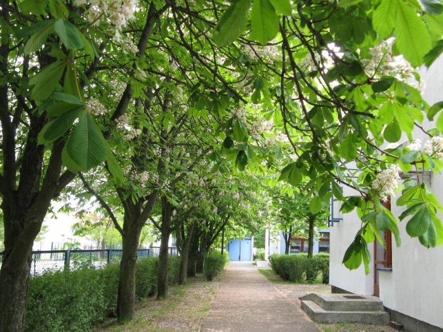 Dom Pomocy Społecznej im. dr Leona Szumana w Toruniu