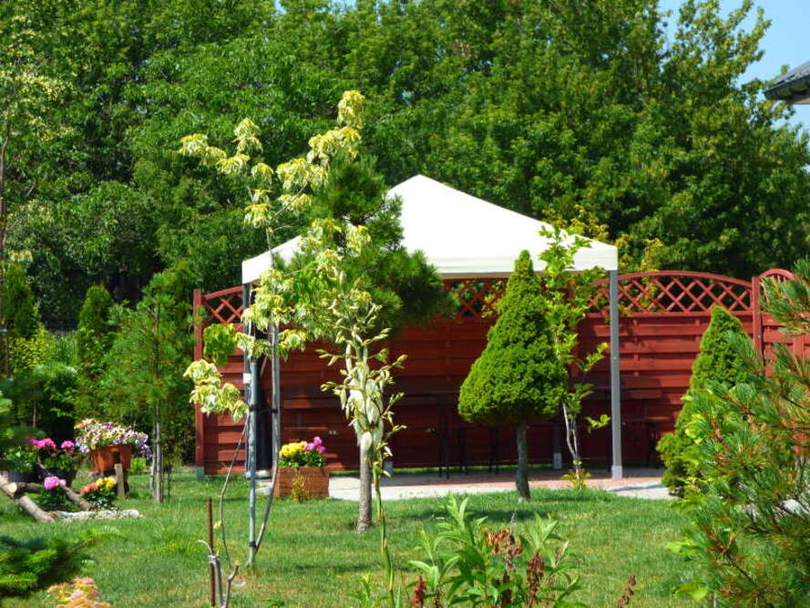 Centrum Opiekuńczo Rehabilitacyjne „Dobry Dom” w Borzęcinie