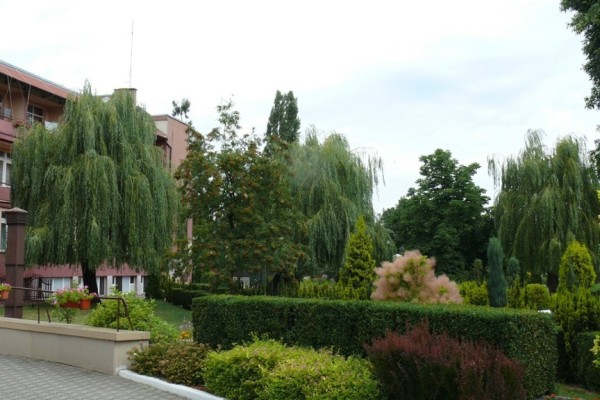 Dom Pomocy Społecznej Grabowiecka w Ostrowcu Świętokrzyskim