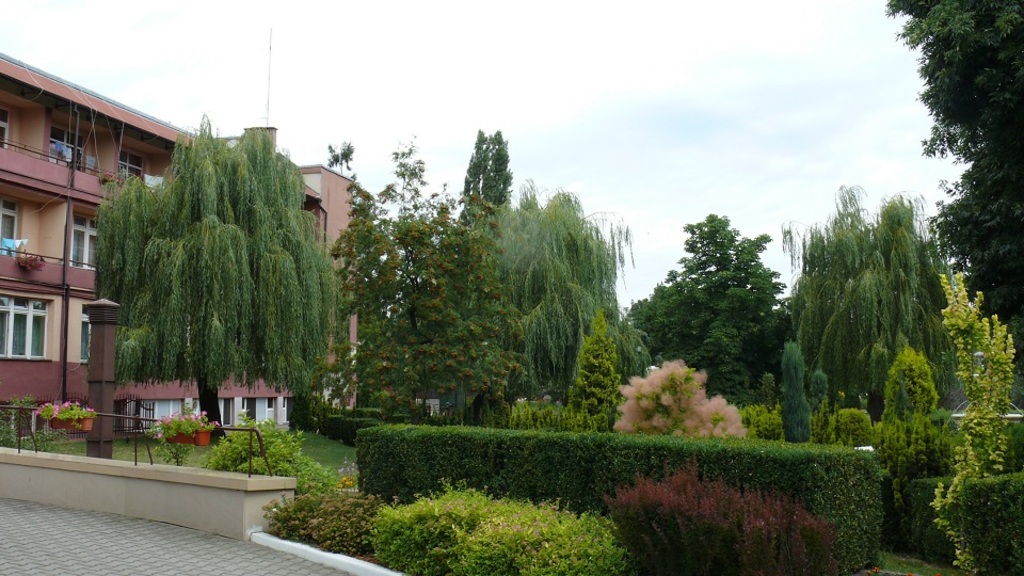 Dom Pomocy Społecznej Grabowiecka w Ostrowcu Świętokrzyskim