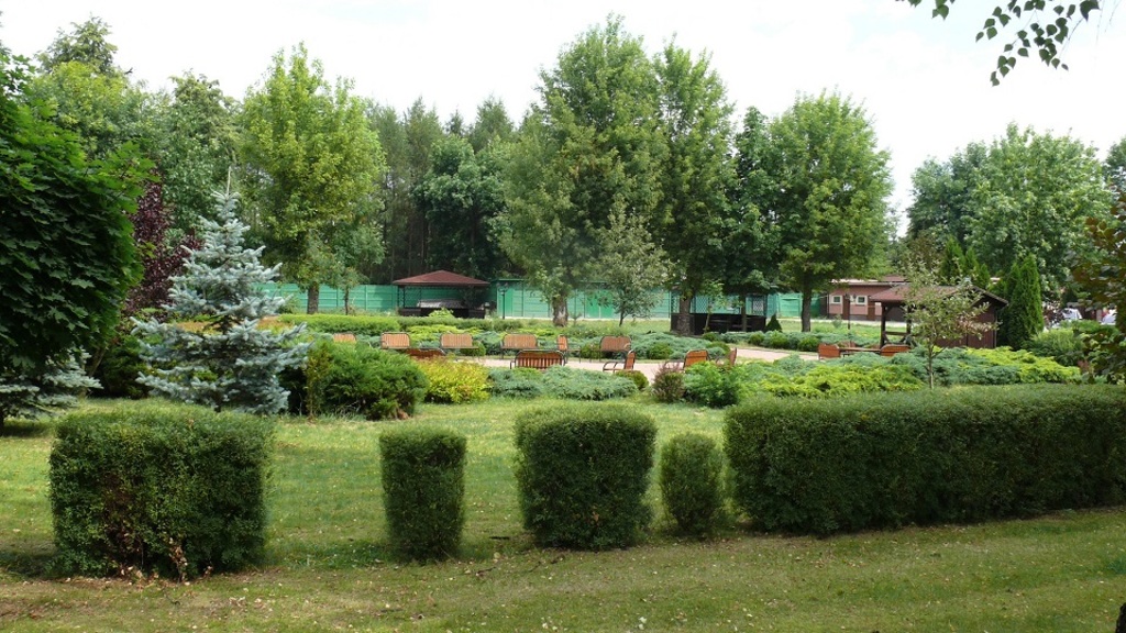 Dom Pomocy Społecznej Grabowiecka w Ostrowcu Świętokrzyskim