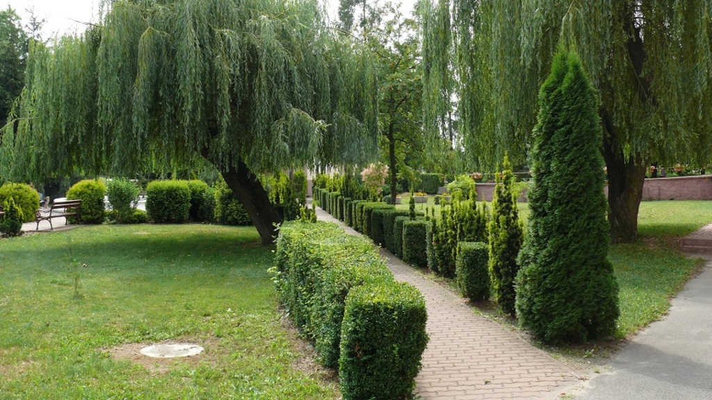 Dom Pomocy Społecznej Grabowiecka w Ostrowcu Świętokrzyskim