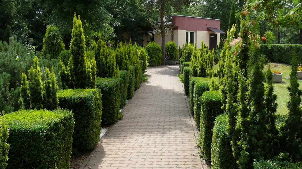 Dom Pomocy Społecznej Grabowiecka w Ostrowcu Świętokrzyskim