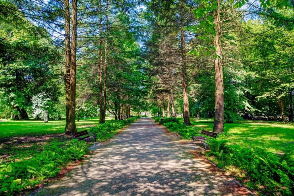 Sanatorium Uzdrowiskowe „Bajka” w Horyńcu-Zdroju