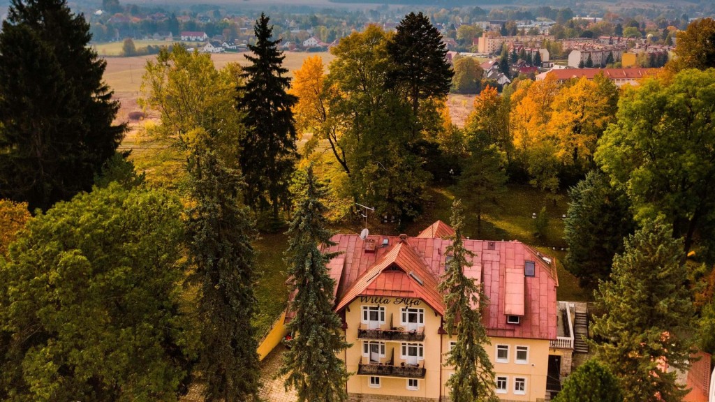 Willa Alfa w Kudowie-Zdroju